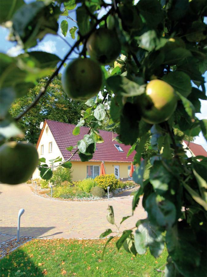 Schoelzke'S Ferienhaus Ralswiek Eksteriør billede